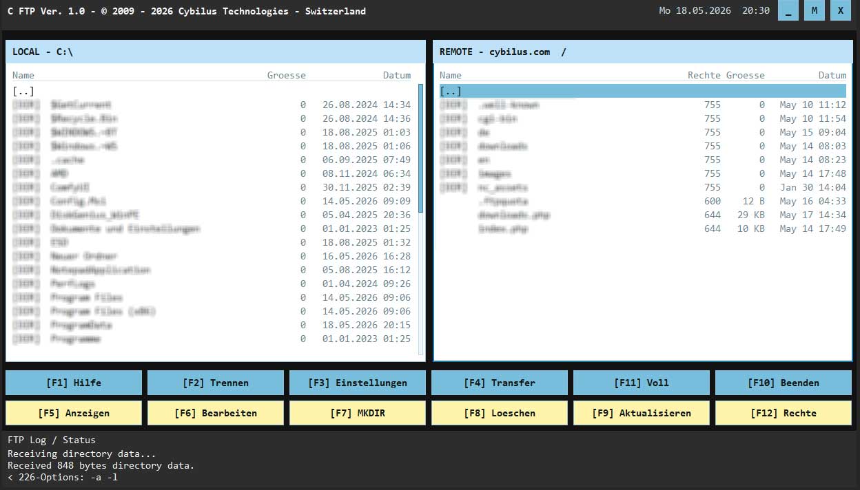 Connected FTP server